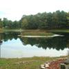 The swimming pond in early fall